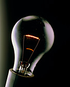 Close-up of a domestic light bulb