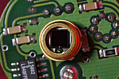 Silicon Photodiode