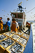 Mediterranean Fishing