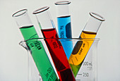 Test tubes with coloured solutions in beaker