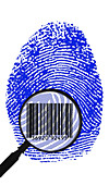 Thumbprint identification