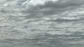 Waves in altocumulus clouds