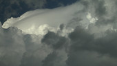 Pileus on a cumulus cloud