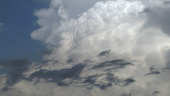 Supercell updrafts, timelapse