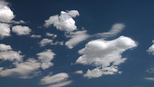Cumulus and pileus clouds, timelapse