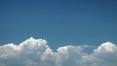 Growing cumulus clouds, timelapse