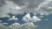Developing cumulus clouds, timelapse