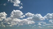 Cumulus mediocris clouds, timelapse