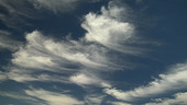 Cirrus uncinus clouds, timelapse