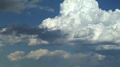 Convection in cumulus clouds, timelapse