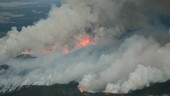 Forest fire, aerial view