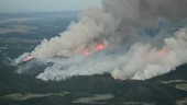 Forest fire, aerial view