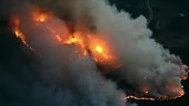 Forest fire, aerial view