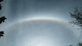 Solar halo and cirrus clouds, time-lapse