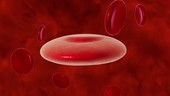 Malaria in bloodstream, animation