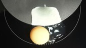 Induction cooking half an egg