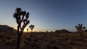 Joshua Tree National Park, California