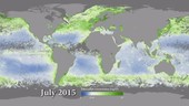Global chlorophyll concentration, 2015-20