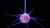 Plasma globe