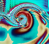 Computer simulation of vortex in fluid