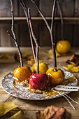 Autumnal toffee apples on branches