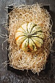 A pumpkin on straw (seen from above)