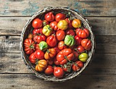 Fresh colorful ripe Fall heirloom tomatoes in basket over wooden background