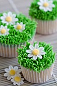 Cupcakes decorated with frosted grass and sugar daisies