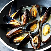 Fresh mussels in sauce