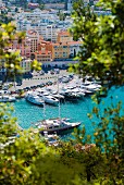 Yachthafen, Nizza, Frankreich