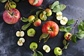 Assorted apples with leaves on a slate platter