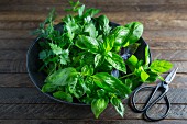 Basil and parsley in a bowl