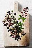 Blackberry sprigs in a vase on a wooden board (seen from above)