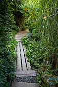 Path made from various materials leading through wild garden