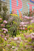 Sommerblumen vor Graffiti-Fassade