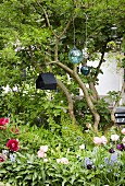 Spring flowers, suspended glass spheres and bird nesting box in garden