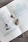 Quail eggs and white feathers on open cookery book
