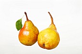 Two whole Williams pears