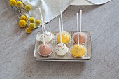 Cake pops standing upside down in square dish