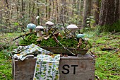 Wooden toadstools and moss on tray on old wooden crate in woods