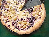 Quark cake with grapes and elderberries