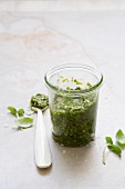 Pesto in jar and on spoon