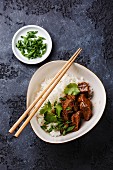 Slow cooked Beef with Rice and green onions in bowl