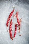 Borlotti beans on a white paper background (seen from above)