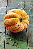 A Chameleon pumpkin