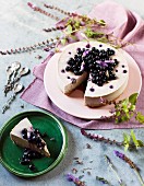 Cream cheese cake with blueberries, lavender and white chocolate