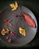 Autumn leaves of different colours on plate