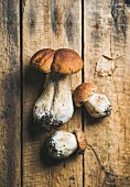 One big and two small fresh white forest mushrooms and dry leaf on rustic wooden background