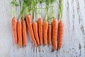 A row of carrots on a white wooden board