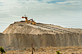 Phosphate mine,Morocco